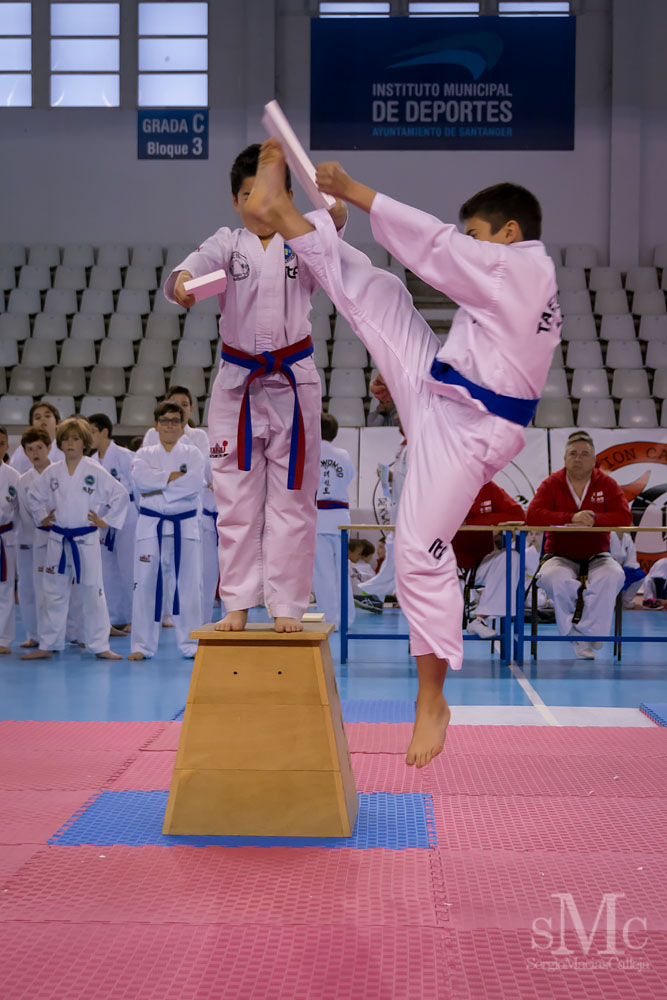 TAEKWONDO CAMPEONATO PAREJAS ABRIL 2018_1837.jpg